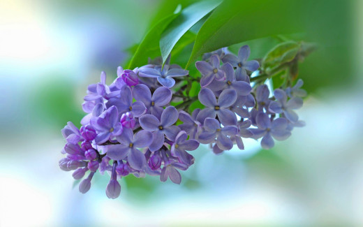 1081638 (a): :2880x1800